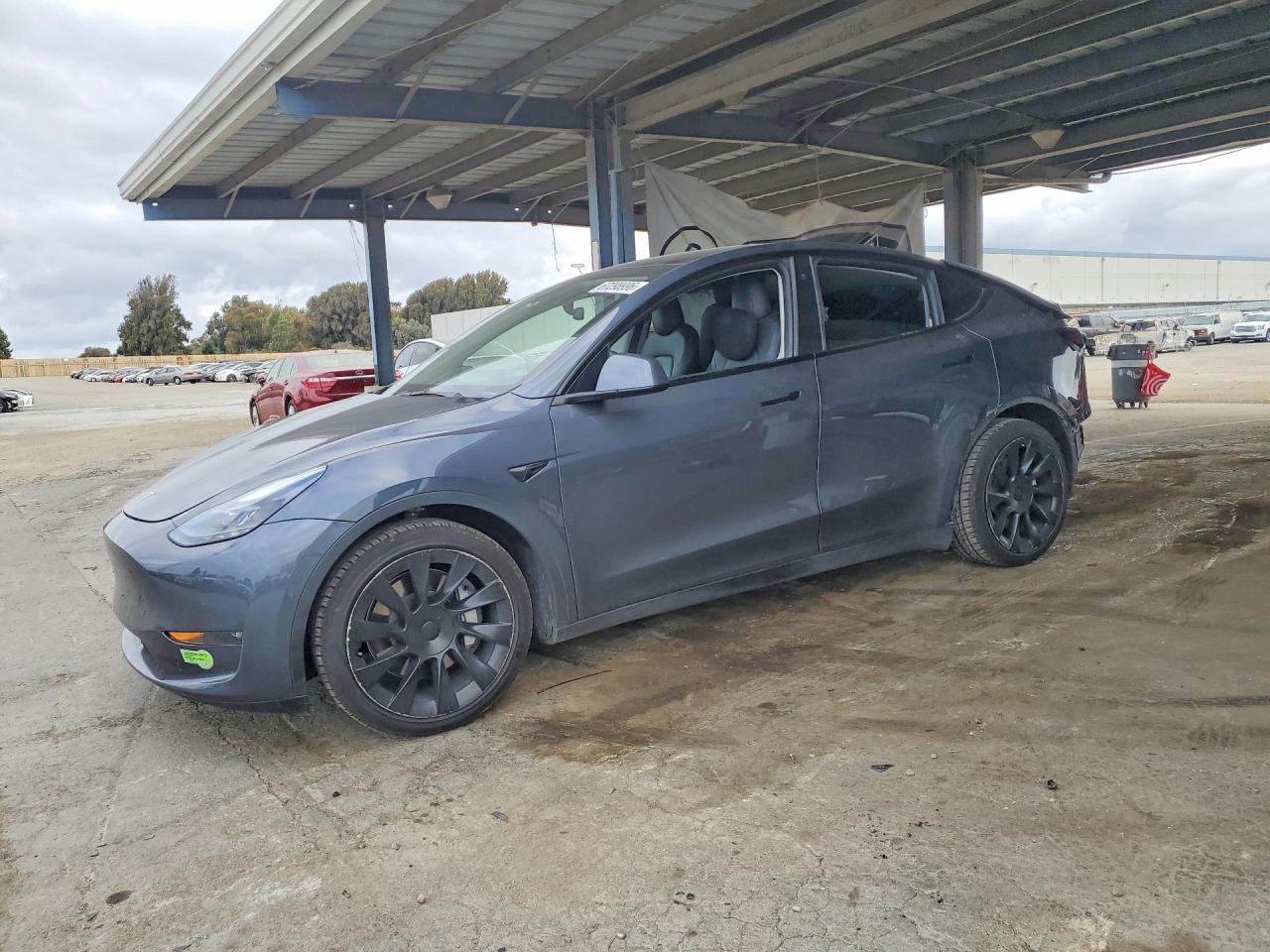 Photo of the 2022 TESLA MODEL Y