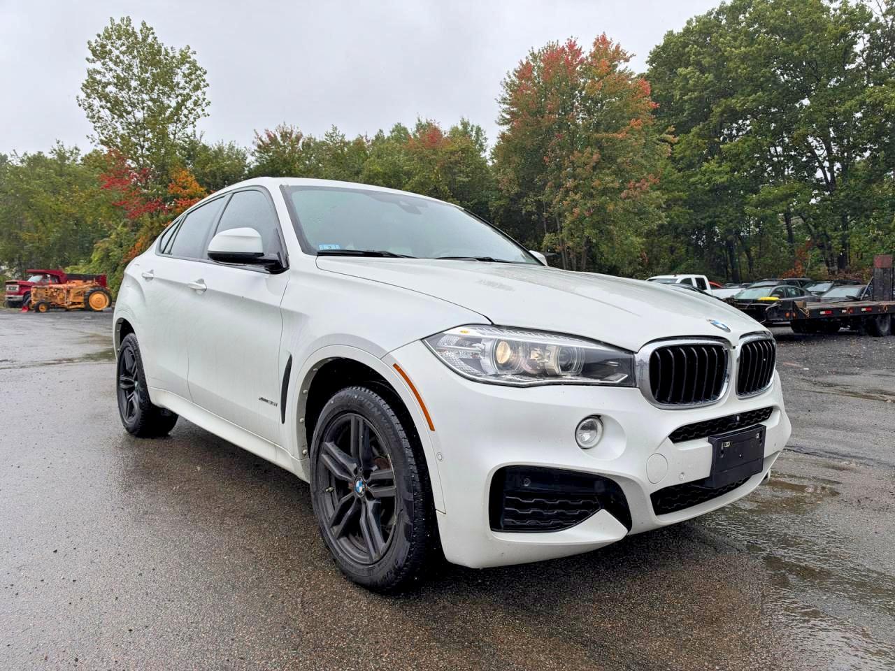 Photo of the 2019 BMW X6 XDRIVE35I