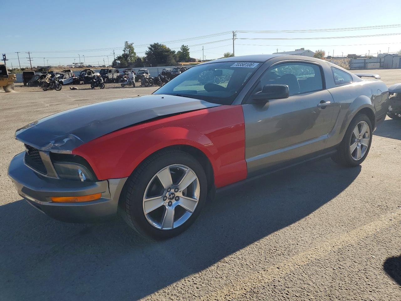 Photo of the 2005 FORD MUSTANG