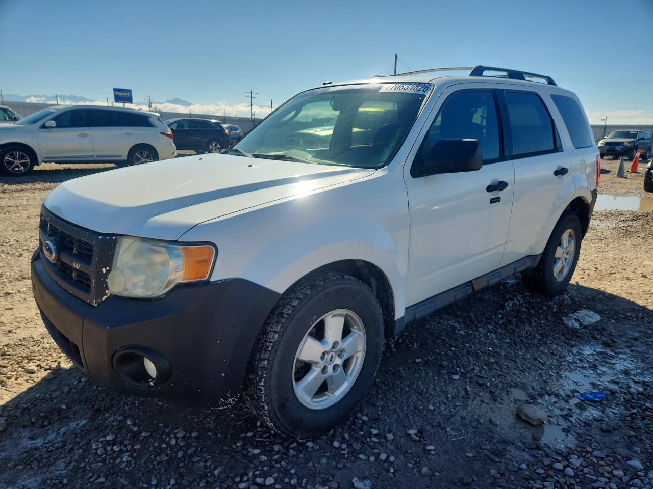 Photo of the 2010 FORD ESCAPE XLT