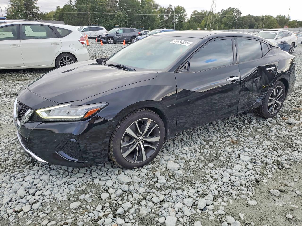 Photo of the 2019 NISSAN MAXIMA 3.5 SV