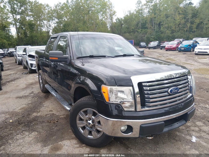 Photo of the 2011 FORD F-150 XLT