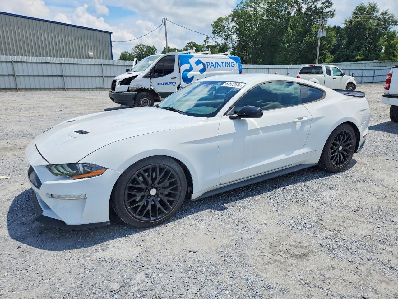 Photo of the 2018 FORD MUSTANG