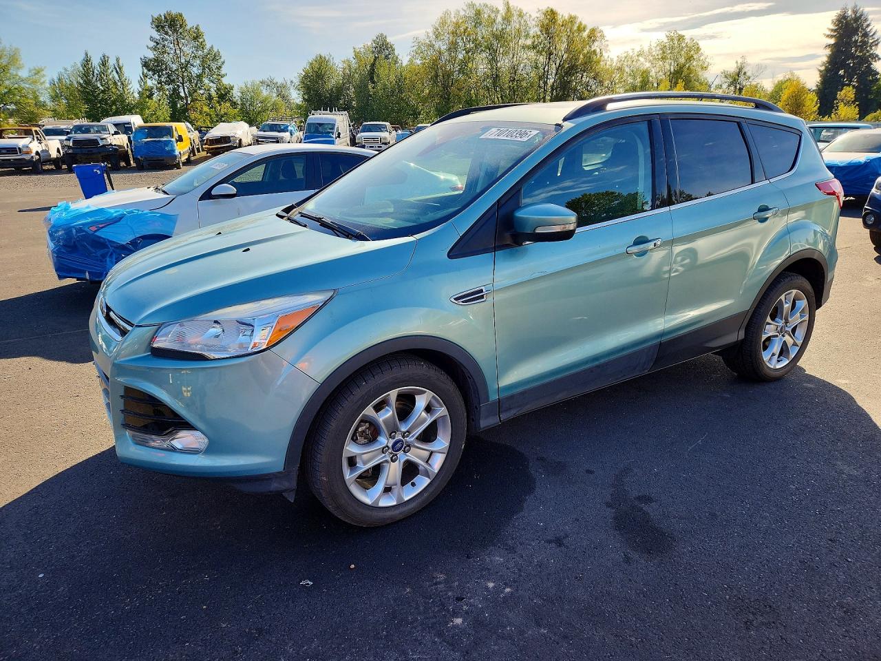 Photo of the 2013 FORD ESCAPE SEL
