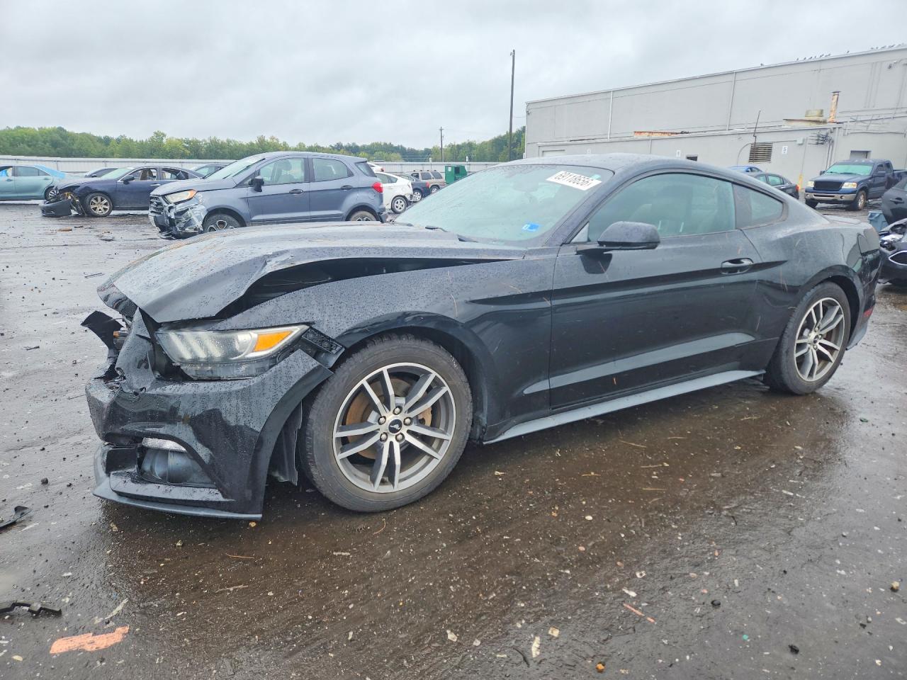Photo of the 2015 FORD MUSTANG
