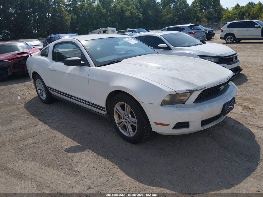 Photo of the 2011 FORD MUSTANG V6