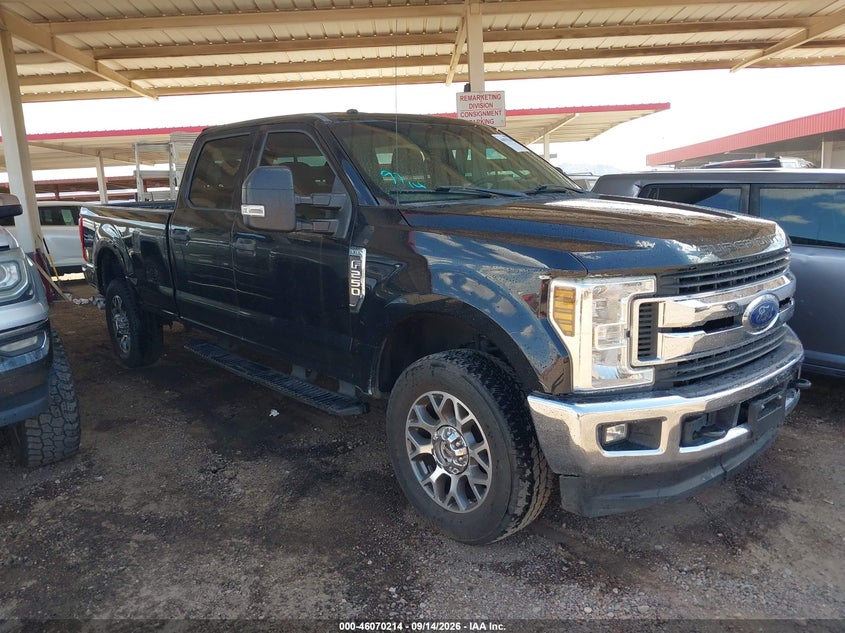 Photo of the 2019 FORD F-250 XLT