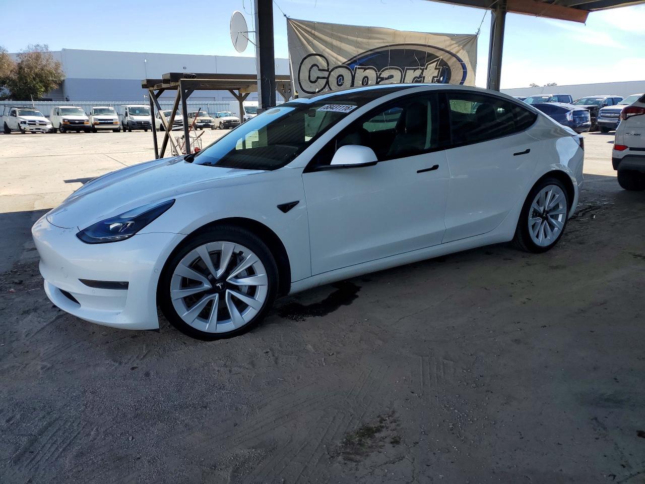 Photo of the 2021 TESLA MODEL 3
