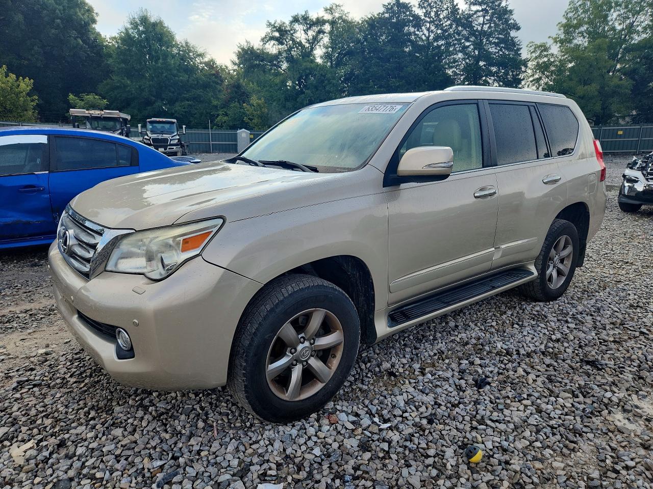 Photo of the 2012 LEXUS GX 460 PREMIUM