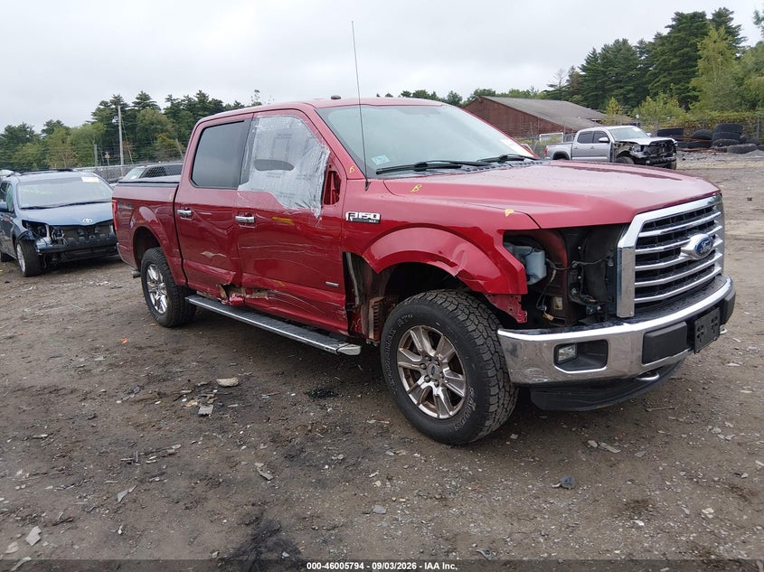 Photo of the 2016 FORD F-150 XLT